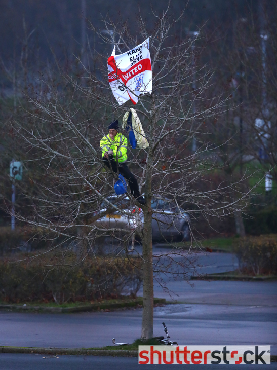An Oxford United fan climbs a tree to watch from the car park